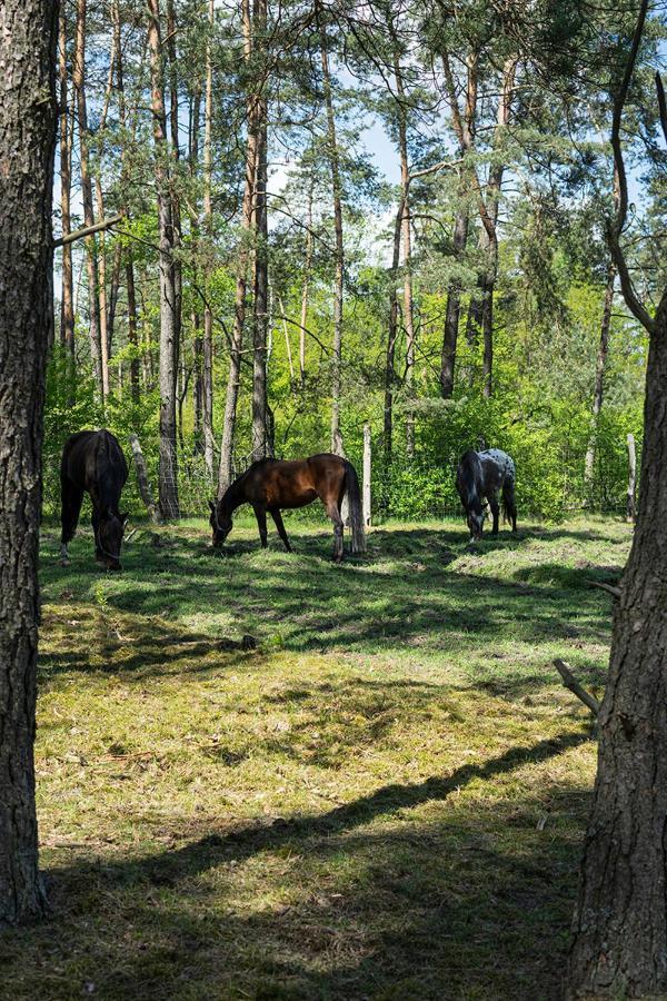 Апартаменти Arche Siedlisko Pilka Люблінєц Екстер'єр фото