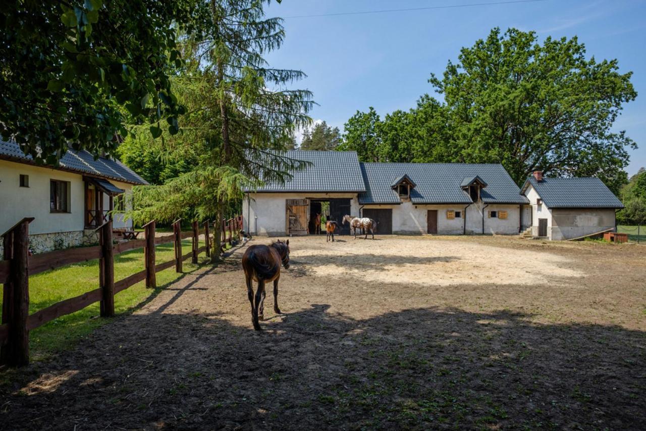 Апартаменти Arche Siedlisko Pilka Люблінєц Екстер'єр фото