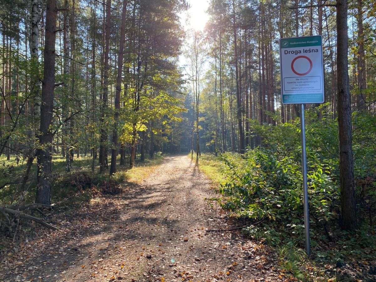 Апартаменти Arche Siedlisko Pilka Люблінєц Екстер'єр фото