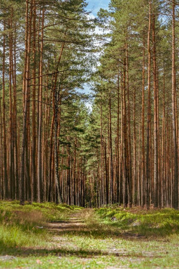 Апартаменти Arche Siedlisko Pilka Люблінєц Екстер'єр фото